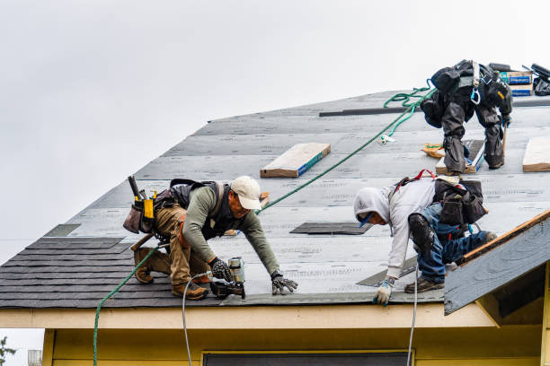Professional Roofing technician working in Portersville, PA